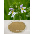 High Quality Natural Eyebright Herb Extract on Sell